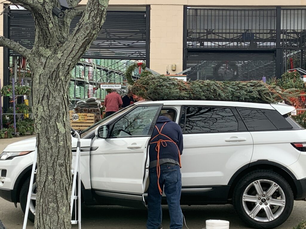 Tree on a car